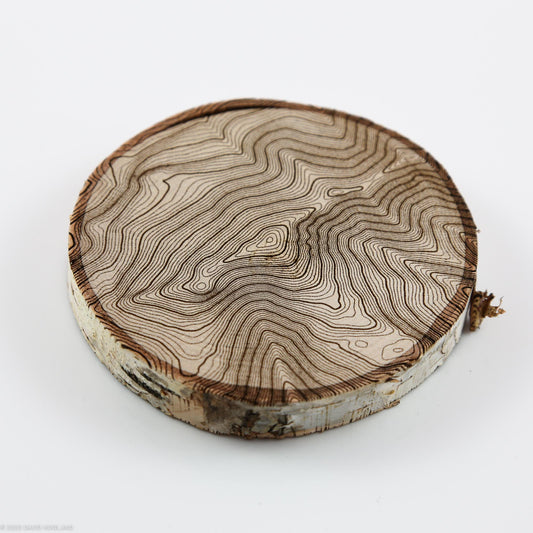 4000 Footer Topographic Map Birch Wood Coaster