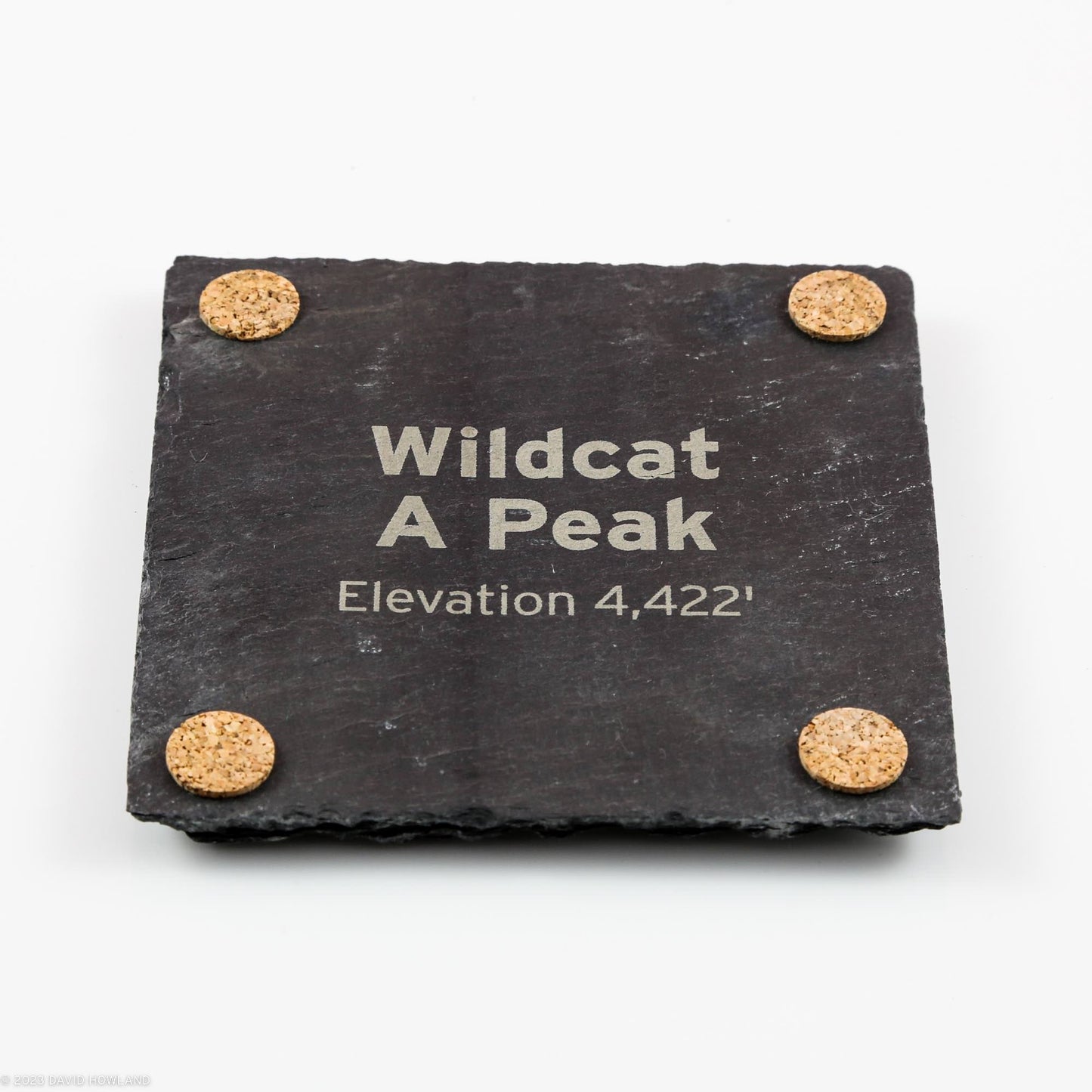 Wildcat A Peak Topographic Map Slate Coaster
