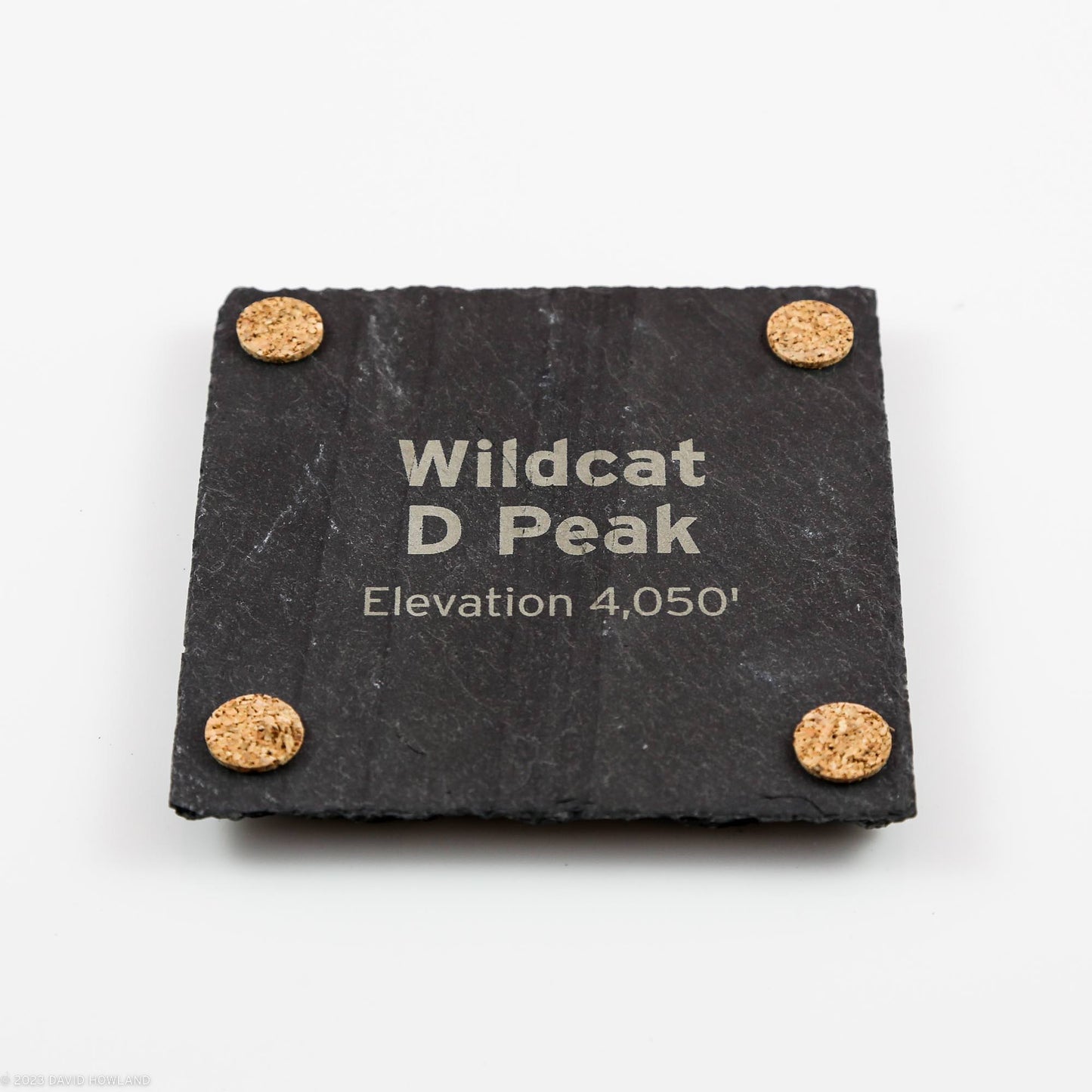 Wildcat D Peak Topographic Map Slate Coaster